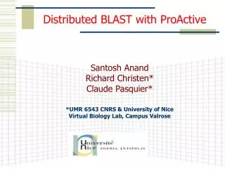 Distributed BLAST with ProActive