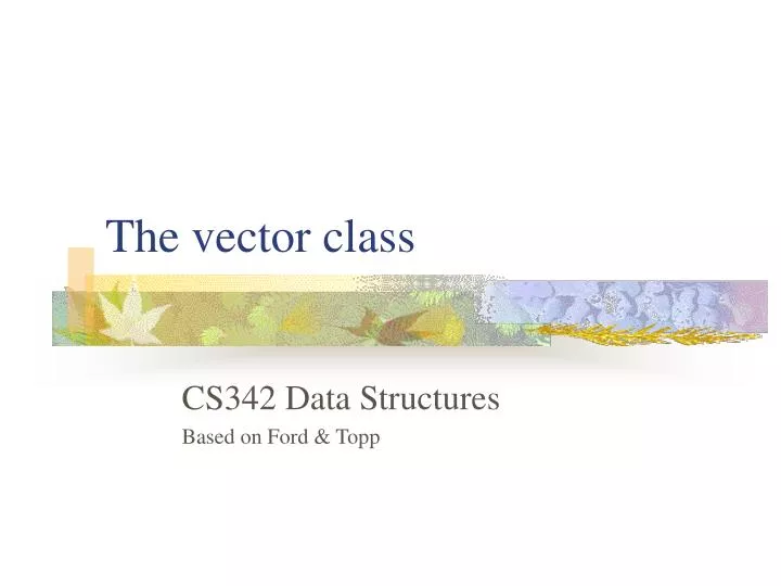 the vector class