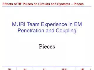 MURI Team Experience in EM Penetration and Coupling
