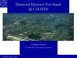 Diamond Detector Test Stand @ CALIFES