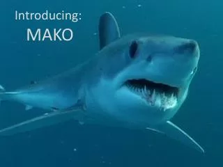 Introducing: MAKO