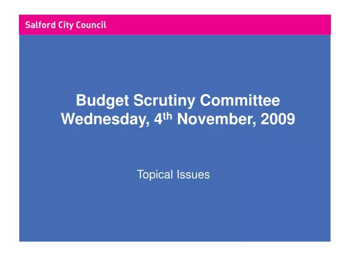 budget scrutiny committee wednesday 4 th november 2009