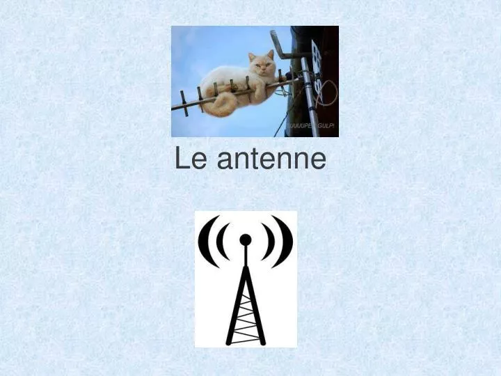 le antenne