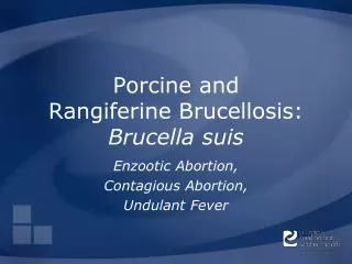 Porcine and Rangiferine Brucellosis: Brucella suis