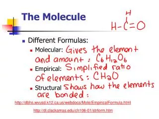 The Molecule