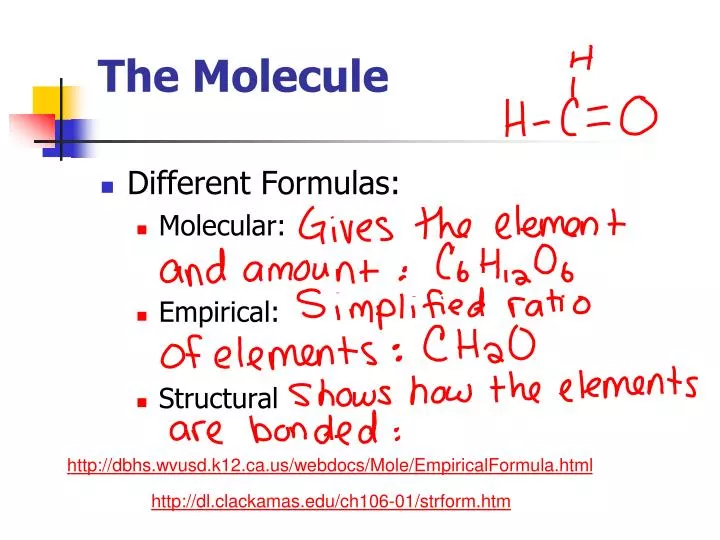 the molecule