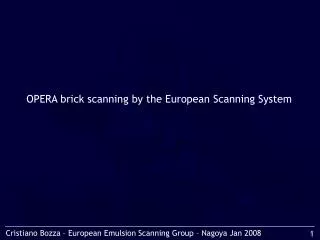 OPERA brick scanning by the European Scanning System