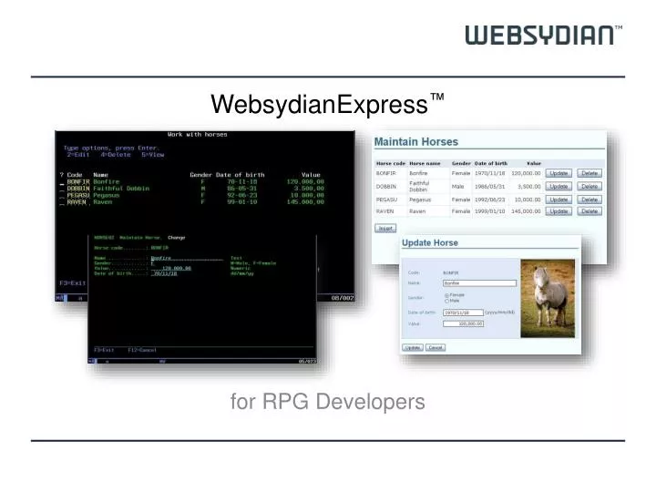 websydianexpress