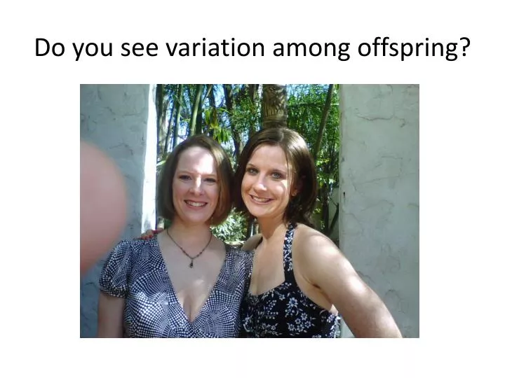 do you see variation among offspring