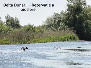 delta dunarii rezervatie a biosferei