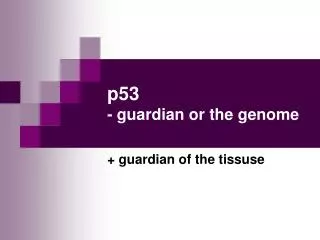 p53 - guardian or the genome
