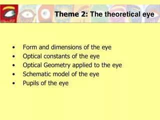 Theme 2: The theoretical eye