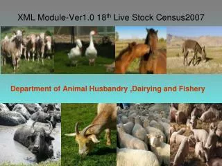 XML Module-Ver1.0 18 th Live Stock Census2007