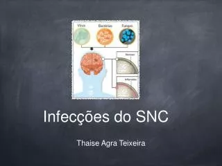 infec es do snc