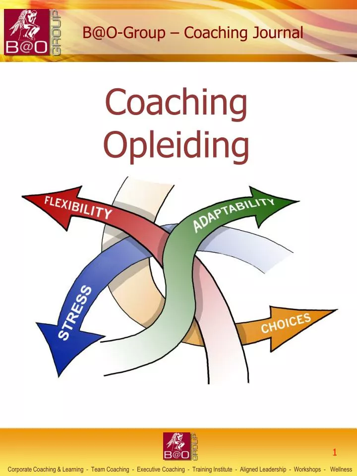coaching opleiding