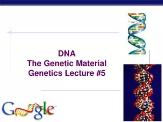 DNA The Genetic Material Genetics Lecture #5