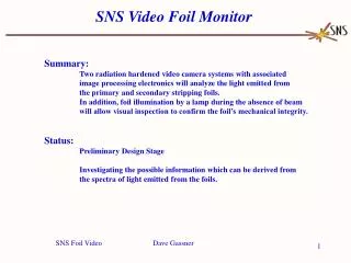 SNS Video Foil Monitor