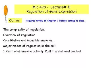 Mic 428 - Lecture# 11 Regulation of Gene Expression