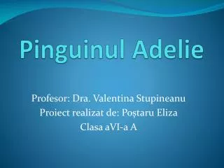 pinguinul adelie