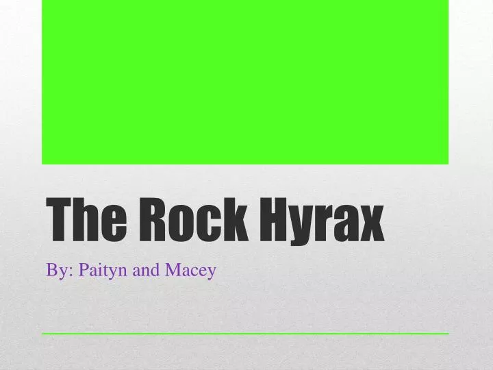 the rock hyrax
