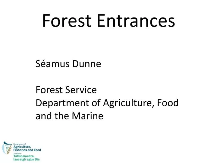 forest entrances