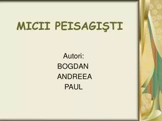 micii peisagi ti