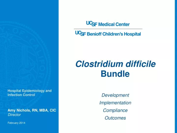 clostridium difficile bundle