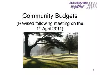 Community Budgets