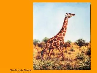 Giraffe , Julia Sweda