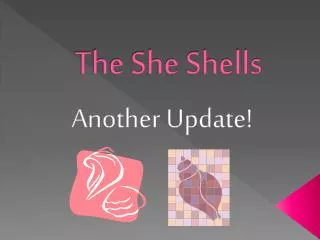 The She Shells