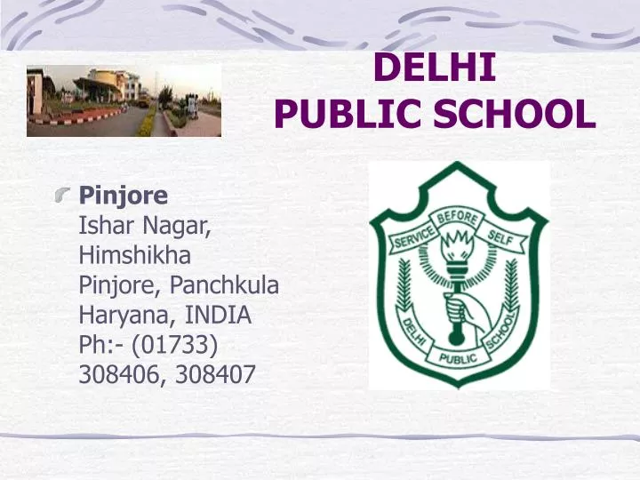 delhi public school