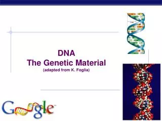 DNA The Genetic Material (adapted from K. Foglia)