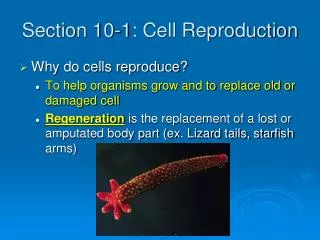 Section 10-1: Cell Reproduction