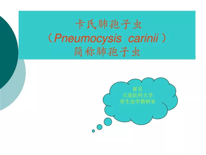 pneumocysis carinii