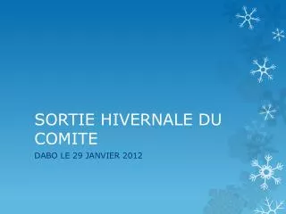 sortie hivernale du comite
