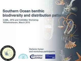 Southern Ocean benthic biodiversity and distribution patterns