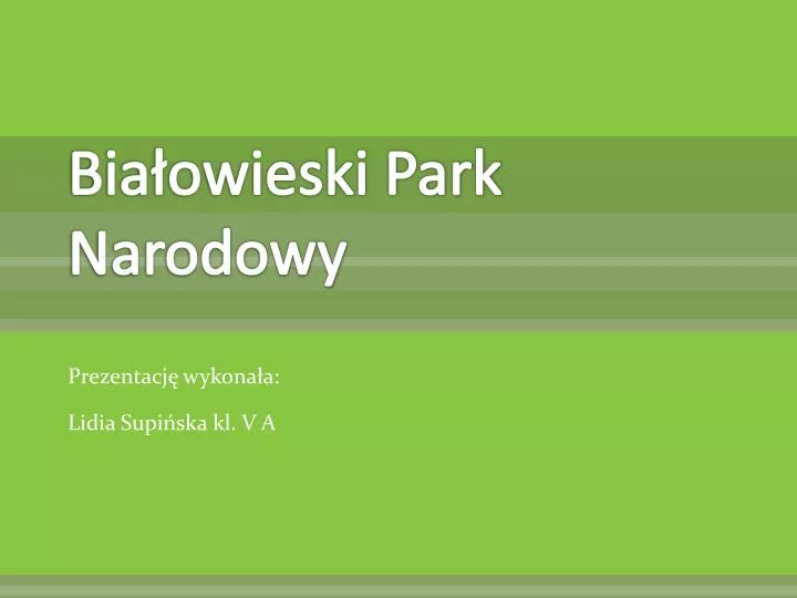 bia owieski park narodowy