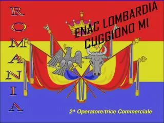 2 operatore trice commerciale