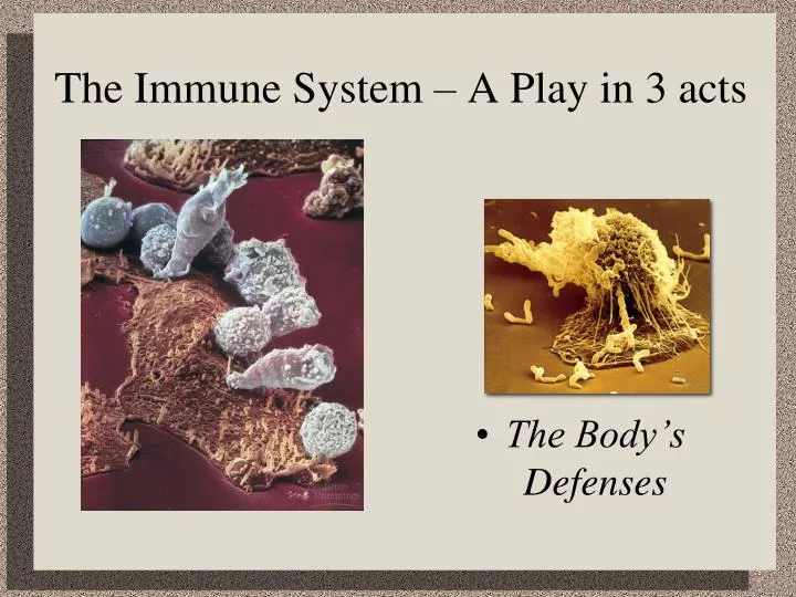 the immune system a play in 3 acts