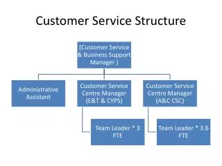 Customer Service Structure