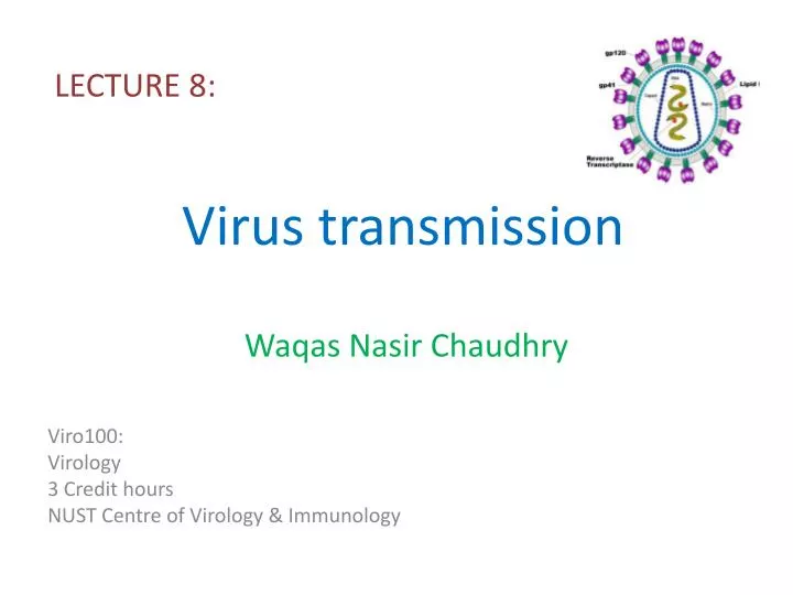 virus transmission