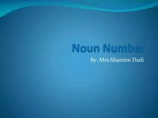 Noun Number