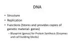 DNA - slide 1