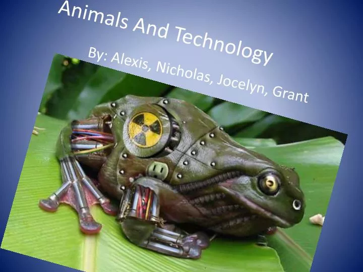 animals and technology