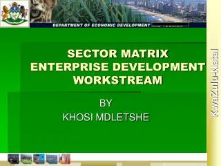 SECTOR MATRIX ENTERPRISE DEVELOPMENT WORKSTREAM