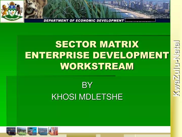 sector matrix enterprise development workstream
