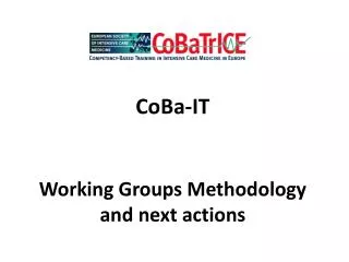 CoBa-IT Working Groups Methodology and next actions
