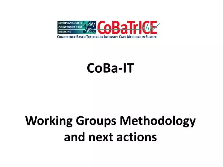 coba it working groups methodology and next actions