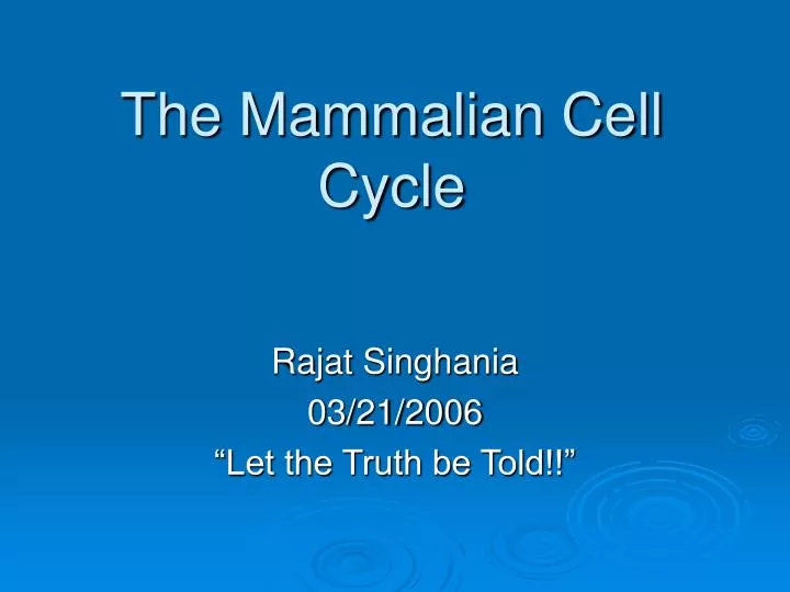 the mammalian cell cycle