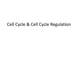 Cell Cycle &amp; Cell Cycle Regulation
